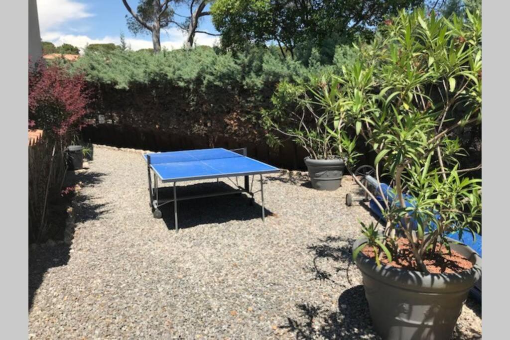 "Les Alizes" Cote Piscine Proche Bord De Mer Saint-Raphaël Exteriör bild