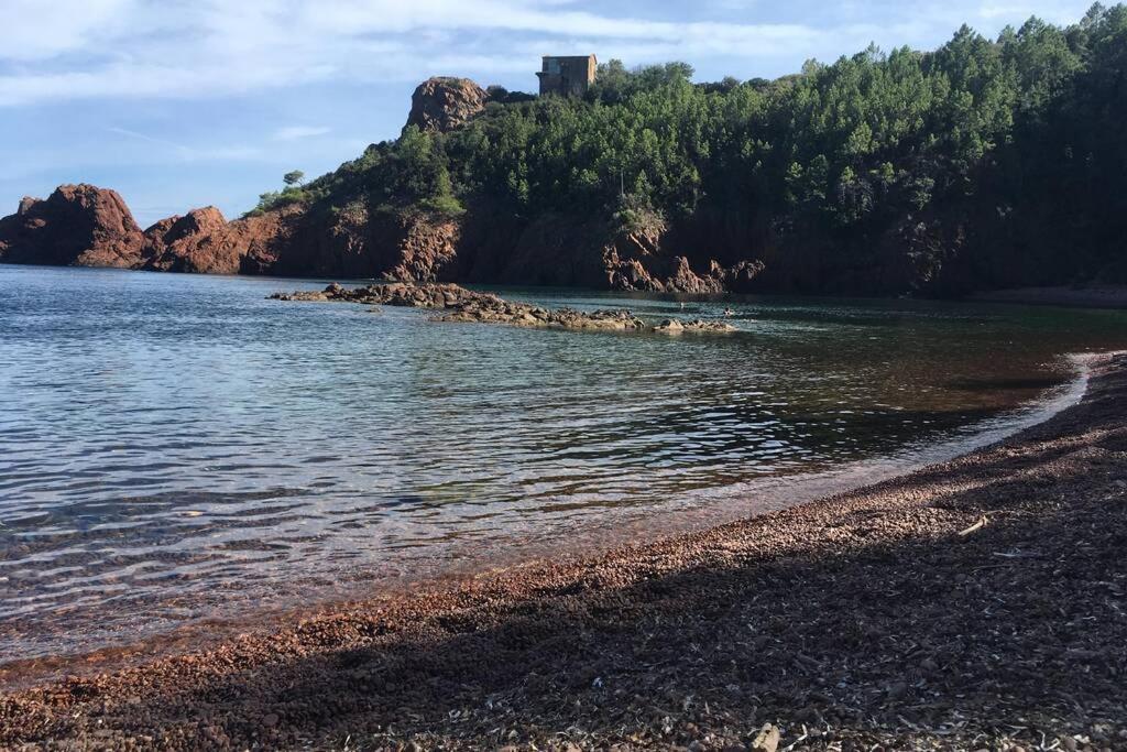 "Les Alizes" Cote Piscine Proche Bord De Mer Saint-Raphaël Exteriör bild