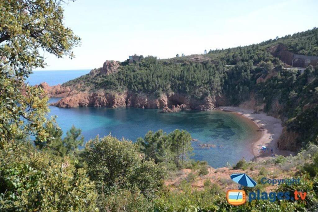 "Les Alizes" Cote Piscine Proche Bord De Mer Saint-Raphaël Exteriör bild