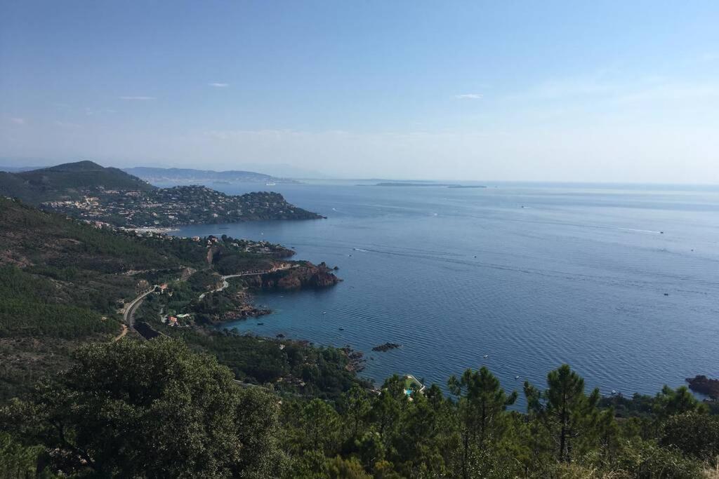 "Les Alizes" Cote Piscine Proche Bord De Mer Saint-Raphaël Exteriör bild